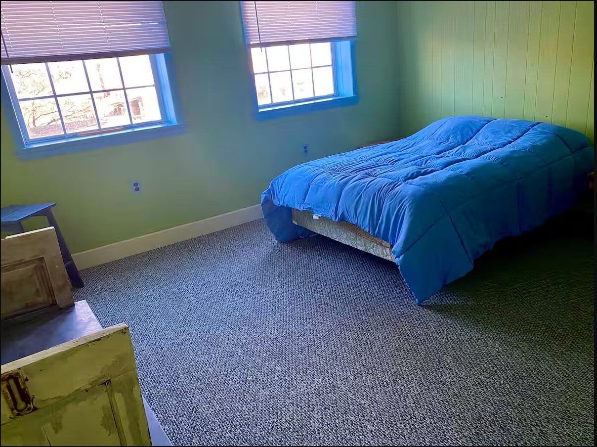 Green bedroom with a queen bed and two windows